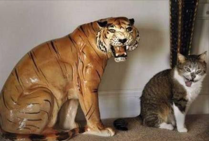 포스트의 이미지