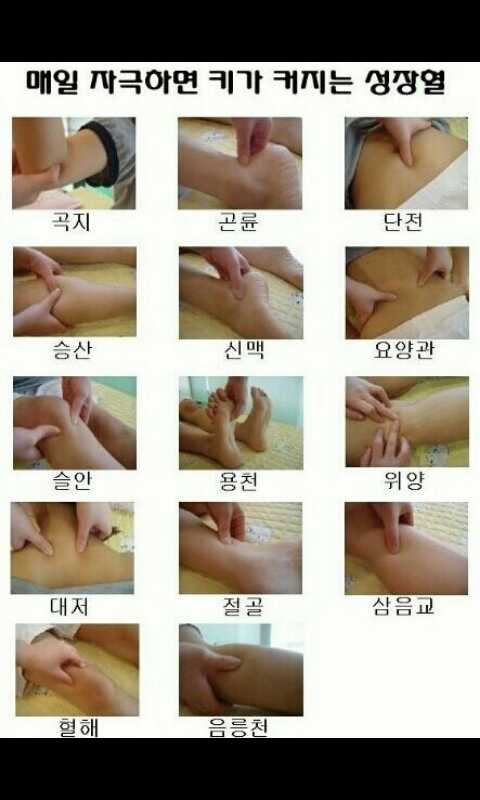 포스트의 이미지