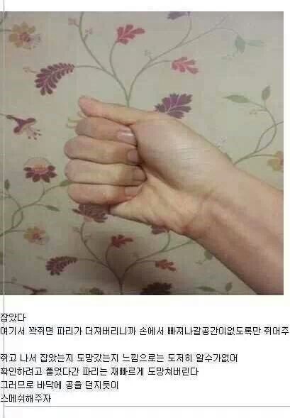 포스트의 이미지