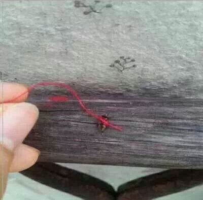 포스트의 이미지