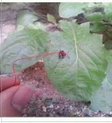 포스트의 이미지