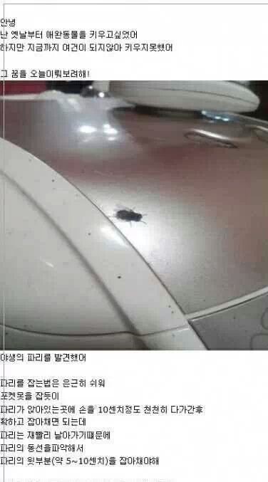 포스트의 이미지