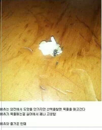 포스트의 이미지