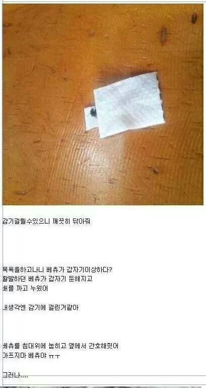 포스트의 이미지