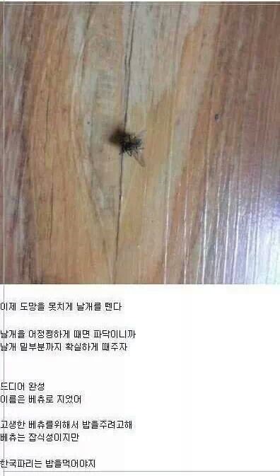 포스트의 이미지