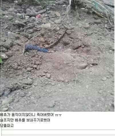 포스트의 이미지