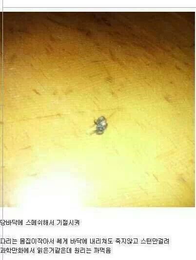 포스트의 이미지
