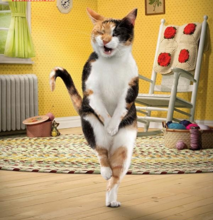 포스트의 이미지