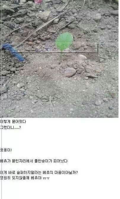 포스트의 이미지