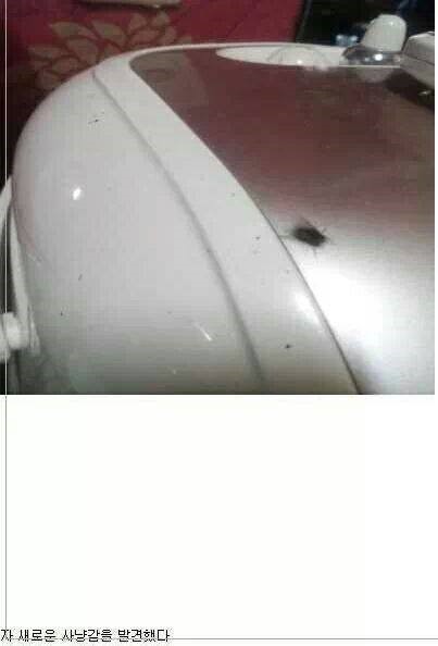 포스트의 이미지