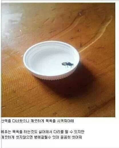 포스트의 이미지