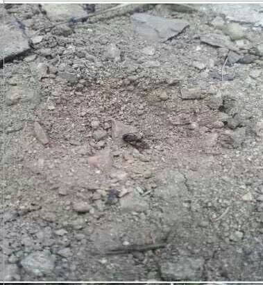 포스트의 이미지