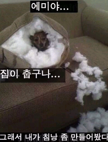 포스트의 이미지