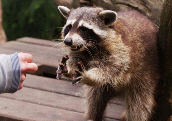 아이고뭘 이런걸 다