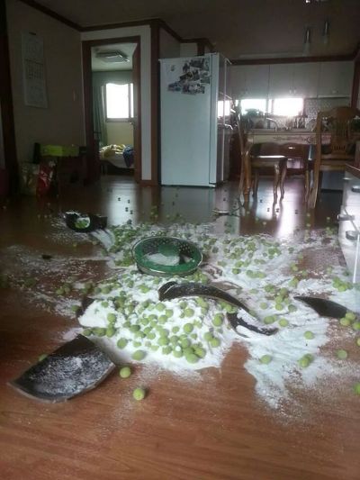 포스트의 이미지