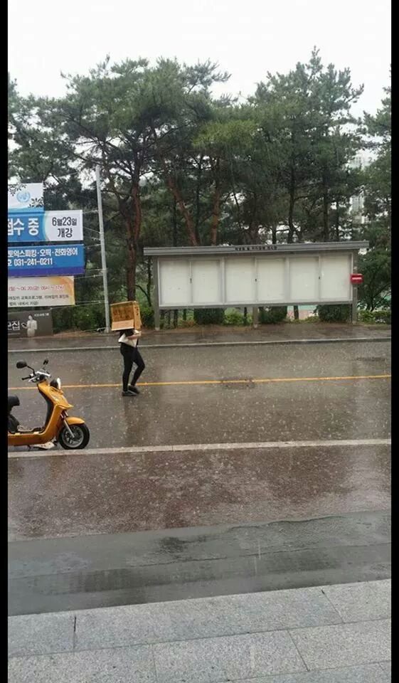 포스트의 이미지