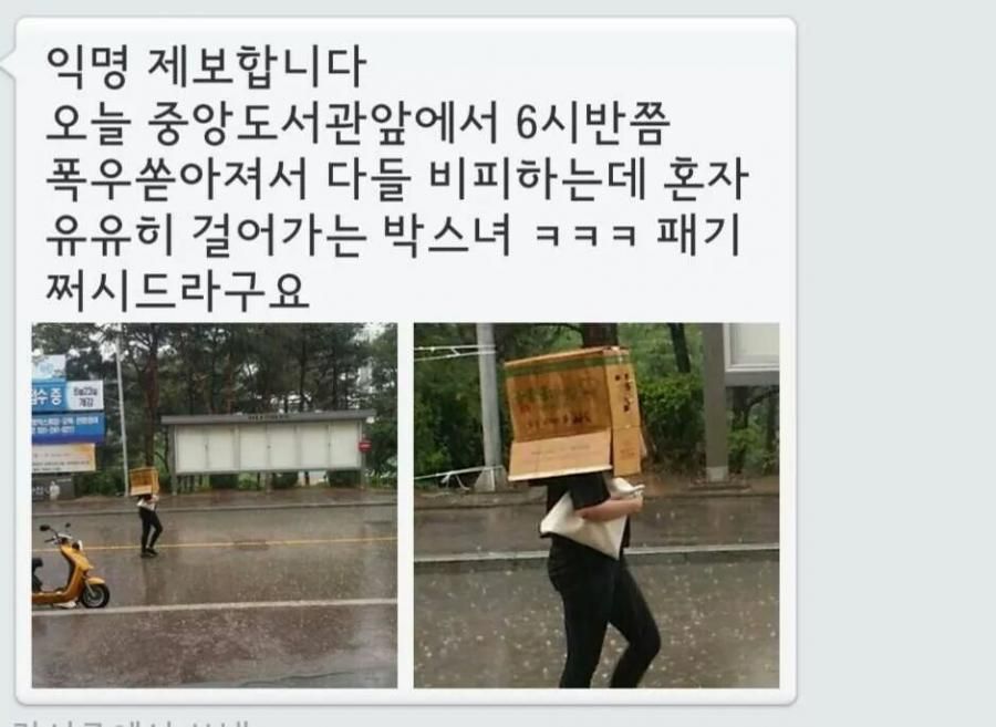 포스트의 이미지