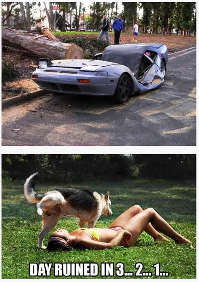 포스트의 이미지