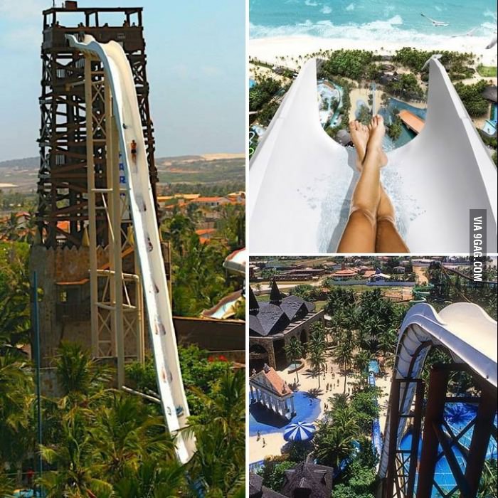 포스트의 이미지