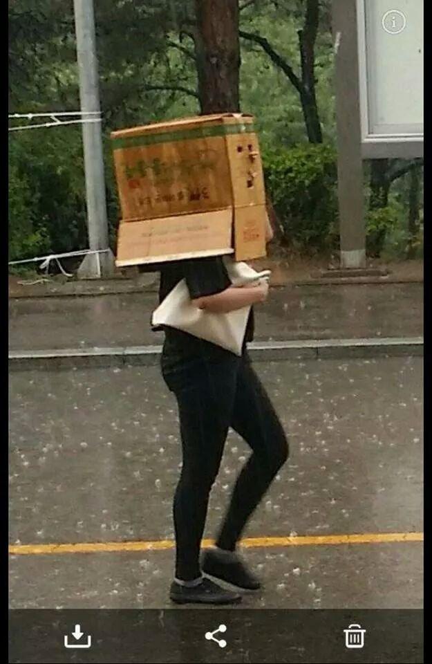 포스트의 이미지