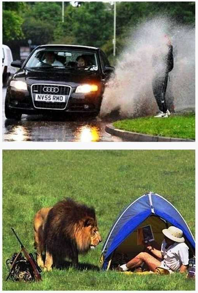 포스트의 이미지