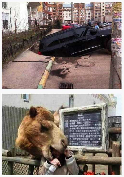 포스트의 이미지