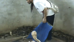 포스트의 이미지