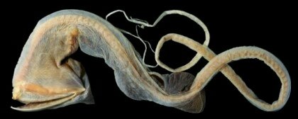 포스트의 이미지