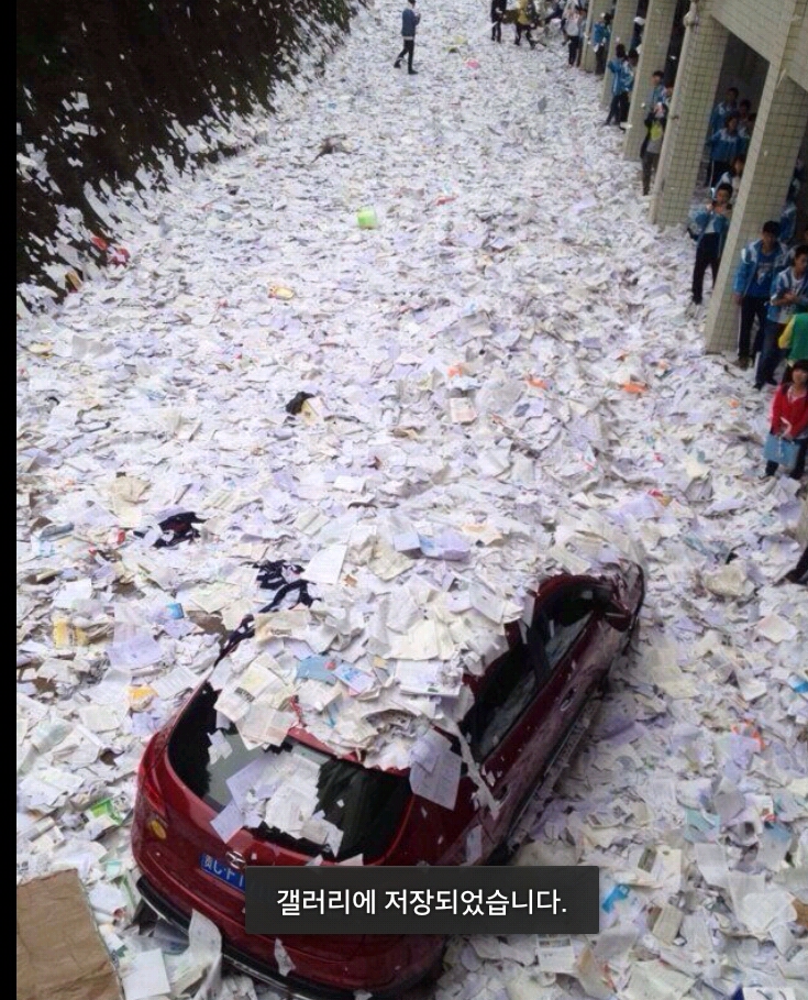 포스트의 이미지