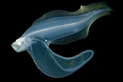 포스트의 이미지