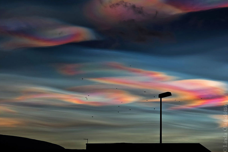 포스트의 이미지