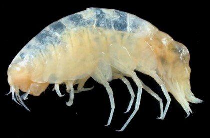 포스트의 이미지