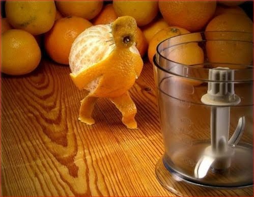 포스트의 이미지