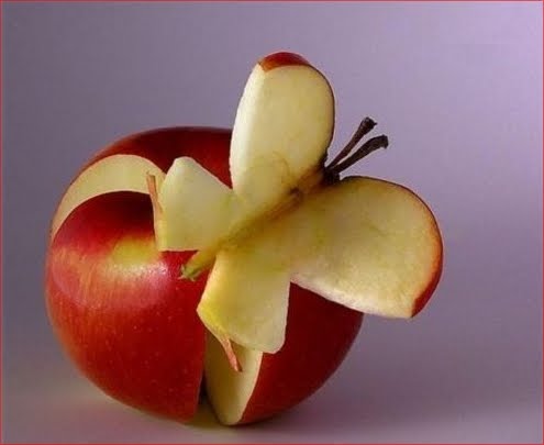 포스트의 이미지