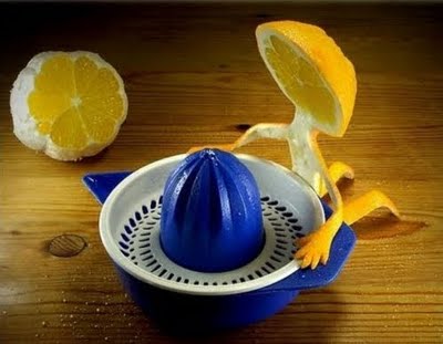 포스트의 이미지