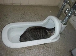 포스트의 이미지