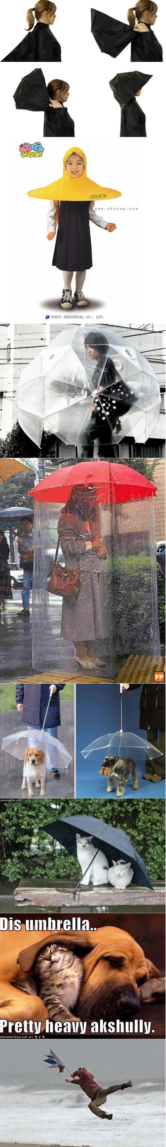 포스트의 이미지