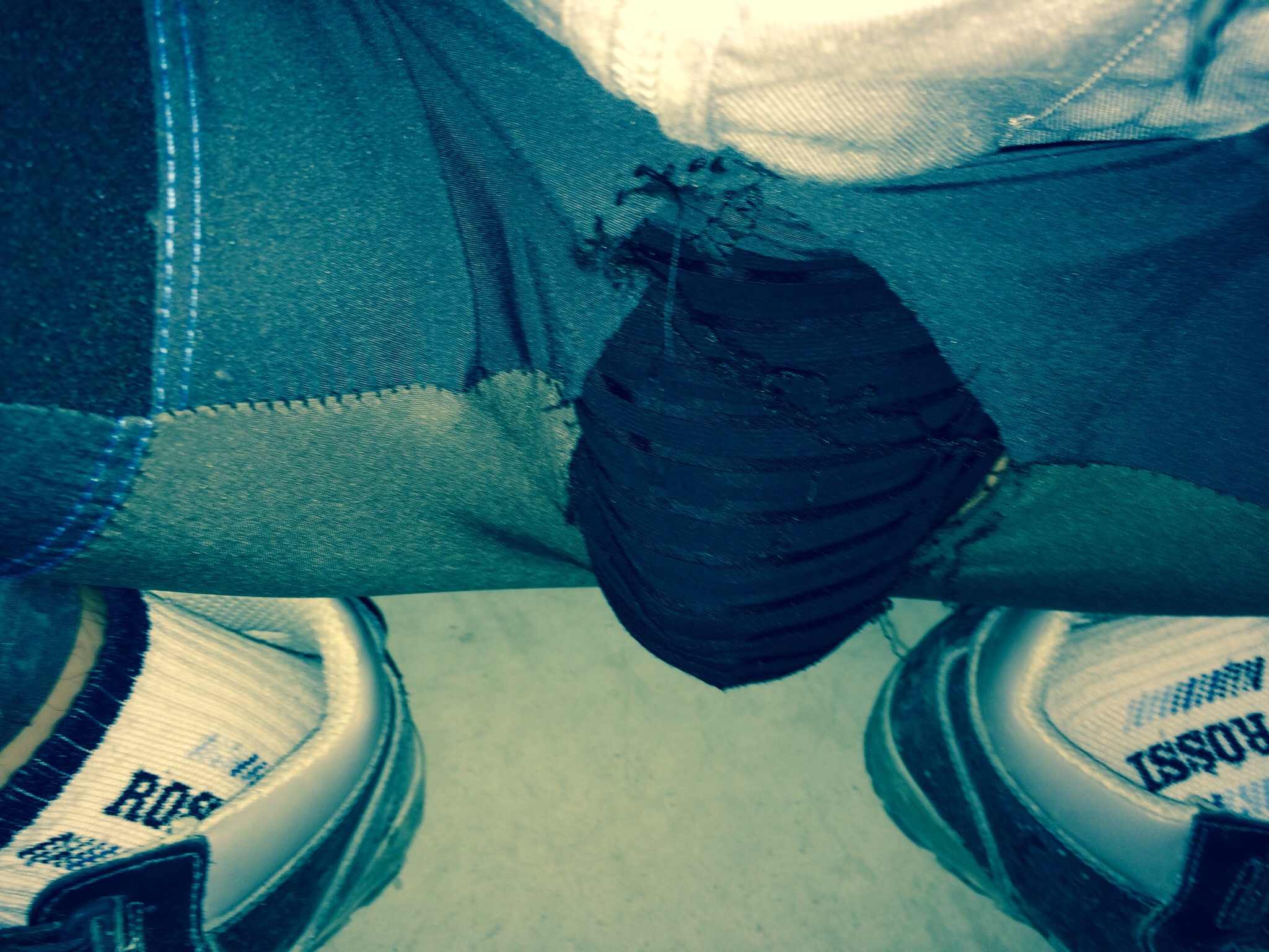 포스트의 이미지