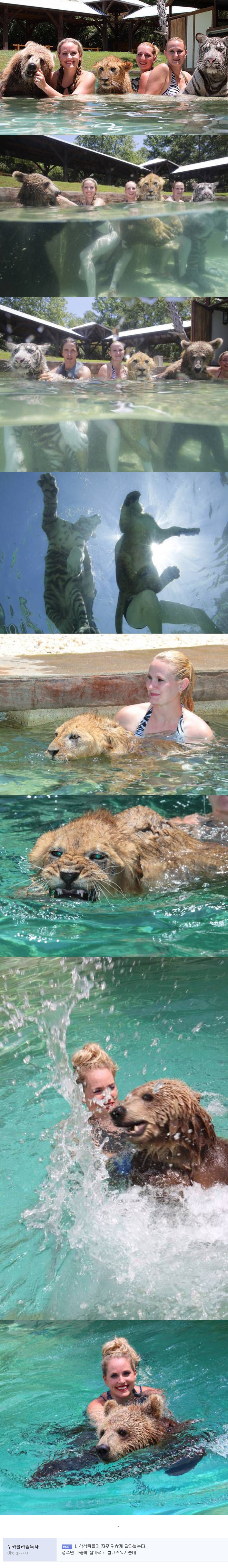 포스트의 이미지