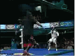 포스트의 이미지