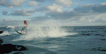 포스트의 이미지