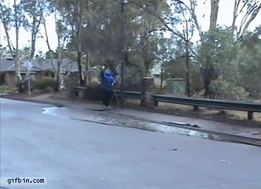 포스트의 이미지