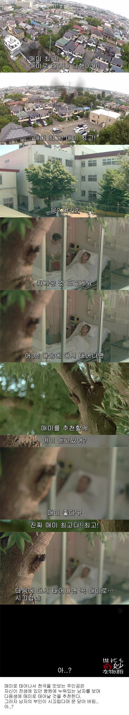 포스트의 이미지