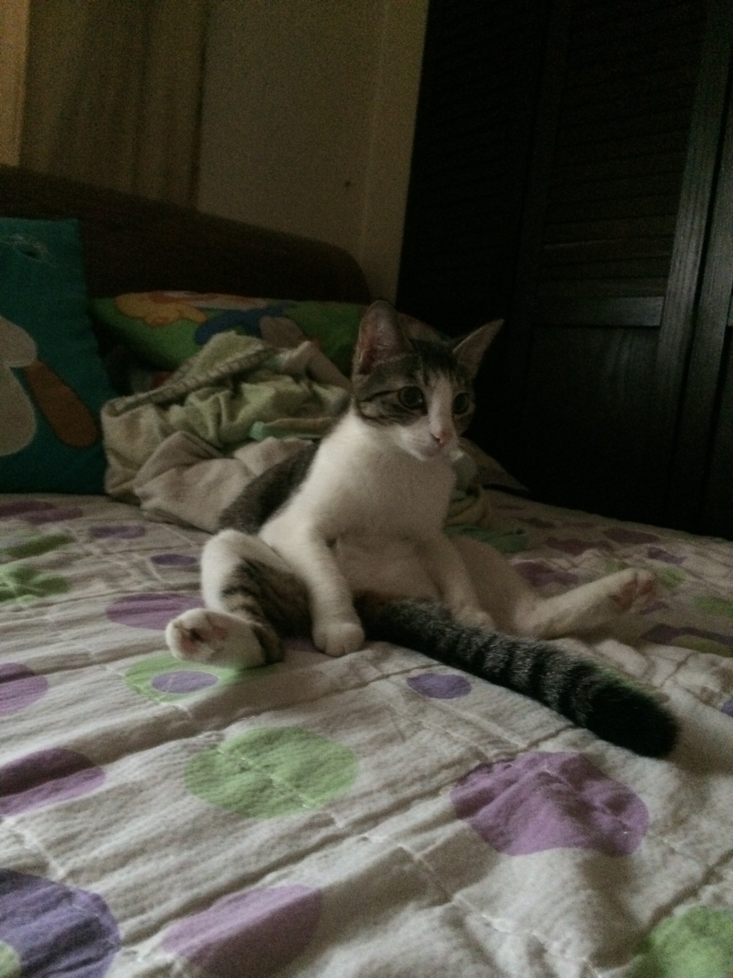 포스트의 이미지