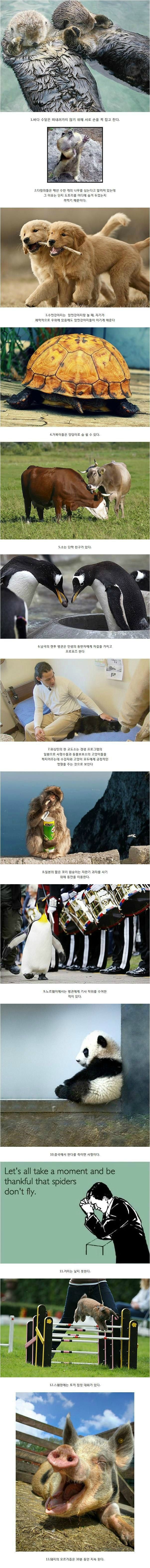 포스트의 이미지