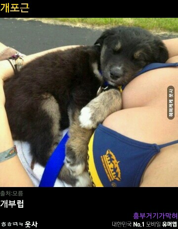 포스트의 이미지