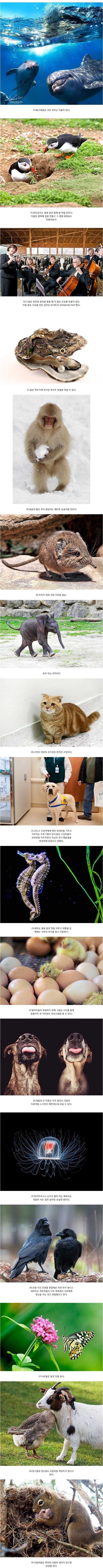 포스트의 이미지