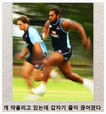 포스트의 이미지