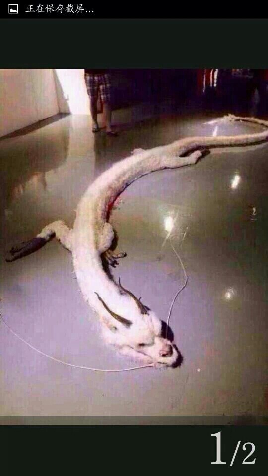 포스트의 이미지