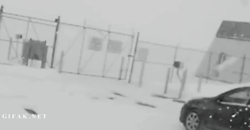 포스트의 이미지